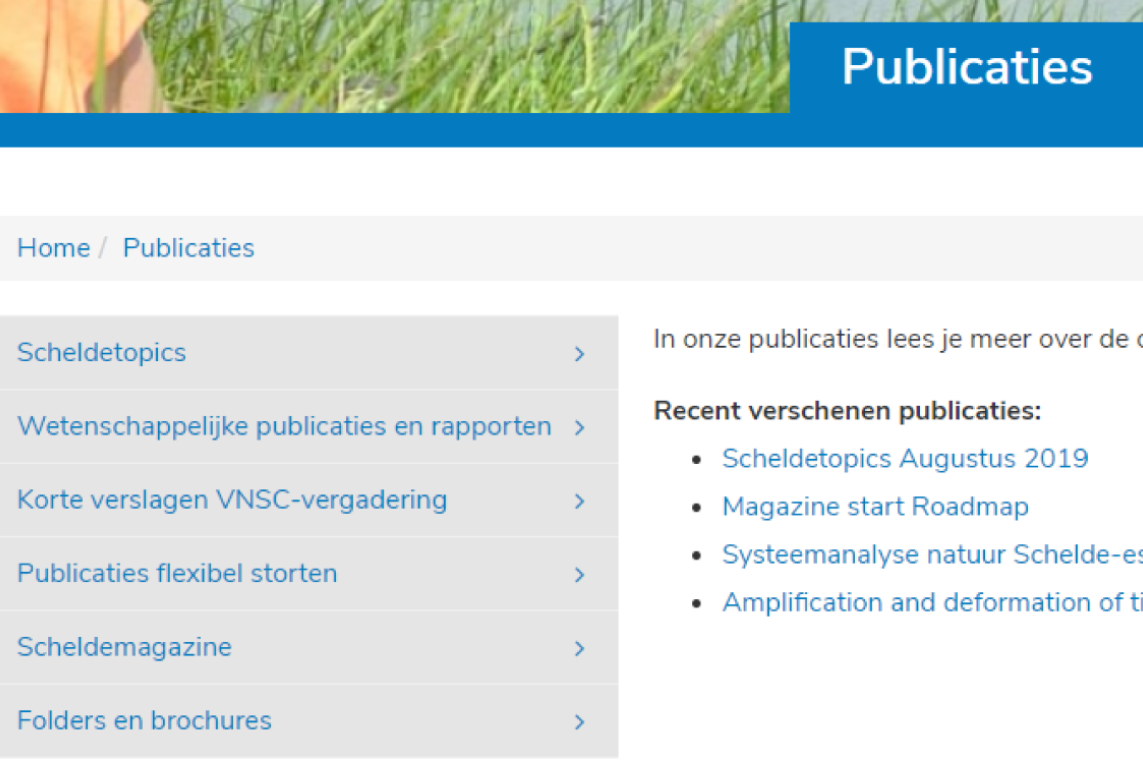 publicaties VNSC