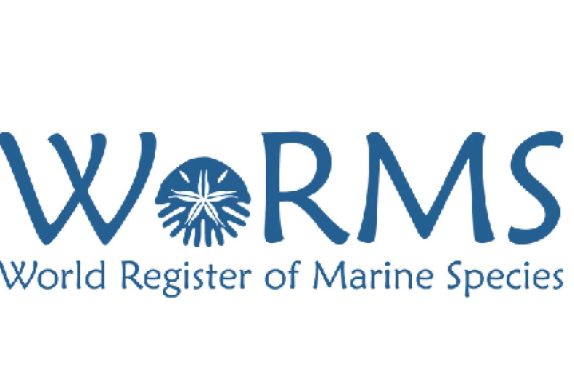 worms 3d logo